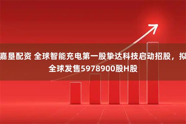 嘉垦配资 全球智能充电第一股挚达科技启动招股，拟全球发售5978900股H股