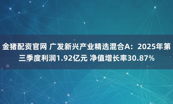 金猪配资官网 广发新兴产业精选混合A：2025年第三季度利润1.92亿元 净值增长率30.87%