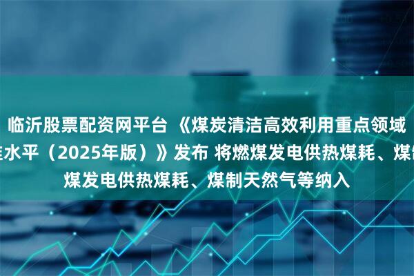 临沂股票配资网平台 《煤炭清洁高效利用重点领域标杆水平和基准水平（2025年版）》发布 将燃煤发电供热煤耗、煤制天然气等纳入