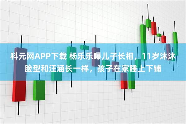 科元网APP下载 杨乐乐曝儿子长相，11岁沐沐脸型和汪涵长一样，孩子在家睡上下铺
