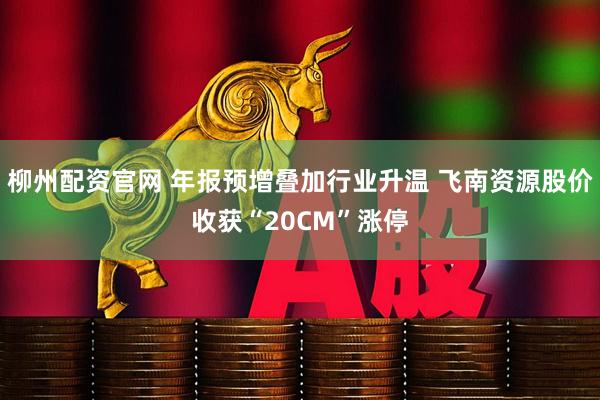 柳州配资官网 年报预增叠加行业升温 飞南资源股价收获“20CM”涨停