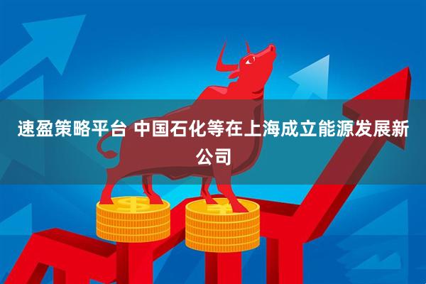 速盈策略平台 中国石化等在上海成立能源发展新公司